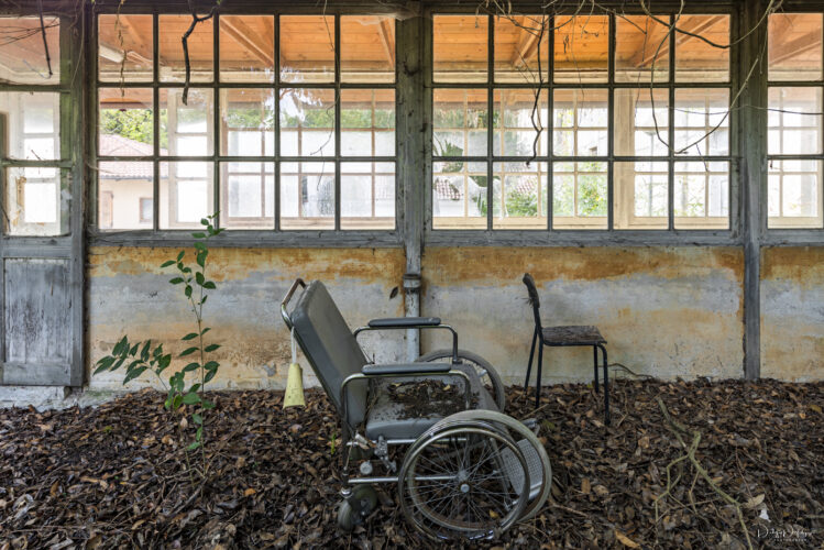 _DSC4776-Modifica