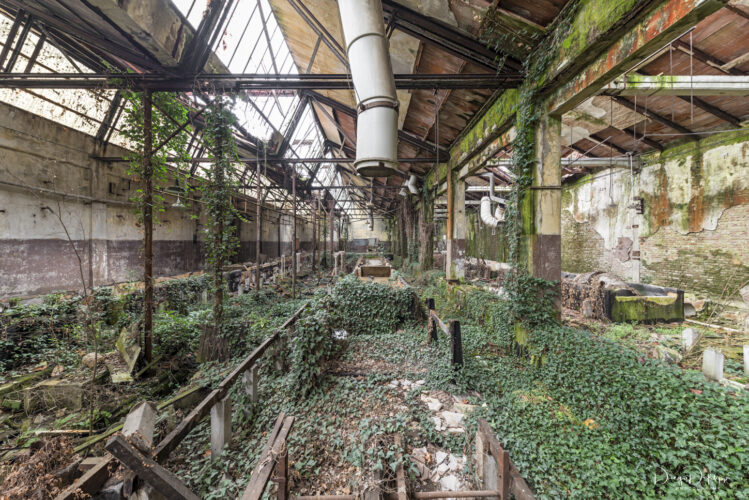 Pipes 'n Vegetation